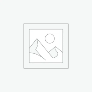 High-Performance RAM